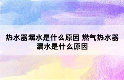 热水器漏水是什么原因 燃气热水器漏水是什么原因